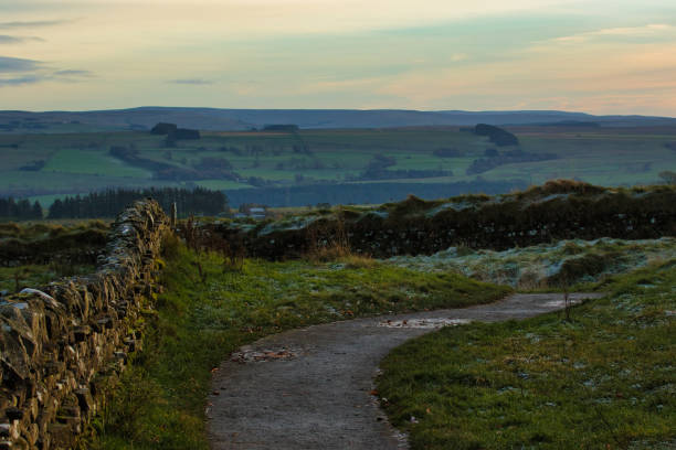 istock Curving pathway through a tranquil countryside with a stone wall and lush greenery at dusk. at Sycamore Gap, Northumberland, UK. 2167156668