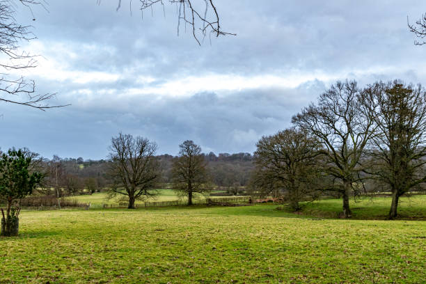 istock Serene landscape with lush green grass, leafless trees, and a cloudy sky, depicting a tranquil countryside scene. 2167157948
