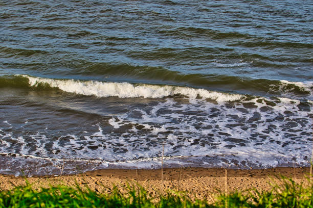A scenic view of ocean waves crashing onto a sandy beach with green grass in the foreground.