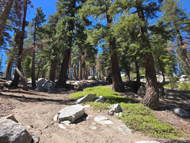istock Lake George, Mammoth Lakes Hike 2167161970