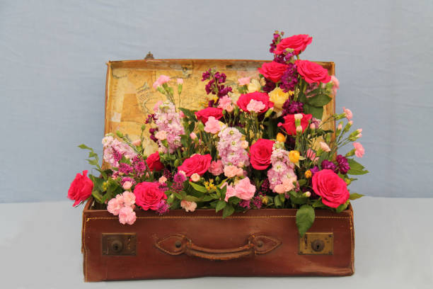 Vintage old classic travel leather suitcases on the camera