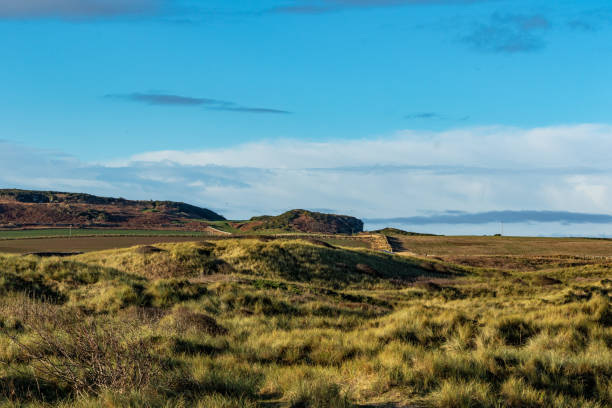 istock Scenic view of rolling hills with lush greenery under a clear blue sky. 2167163664