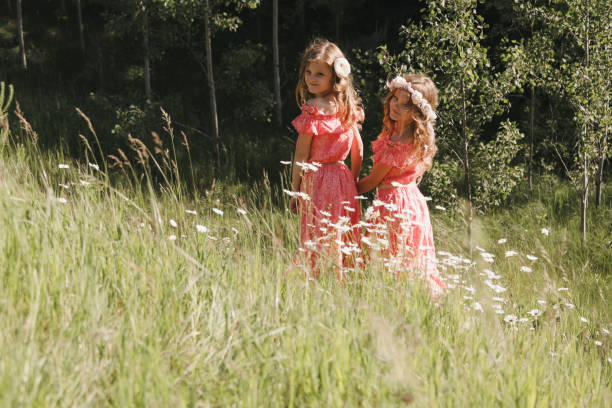 istock Twin Girls in Meadow 2167163920