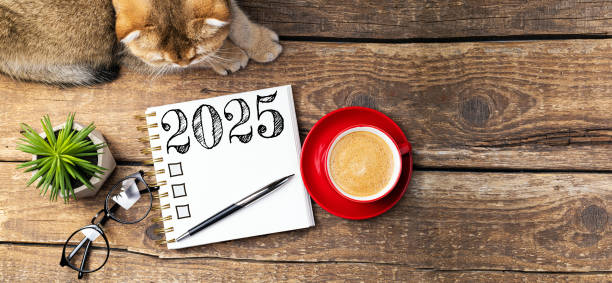 New year resolutions 2025 on desk. 2025 resolutions list with notebook, coffee cup, cute cat on table. Goals, resolutions, plan, cozy, hygge concept. New Year 2025 template