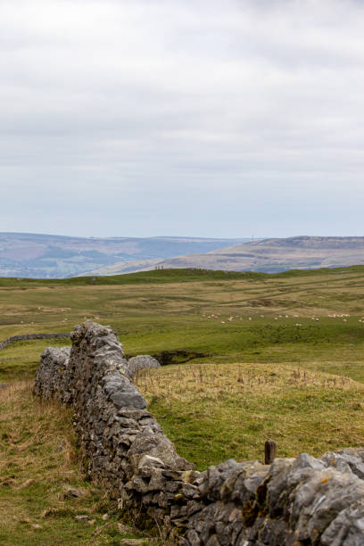 istock Rustic stone wall leading through a tranquil, rolling countryside under a cloudy sky in Peak District, England. 2167169508