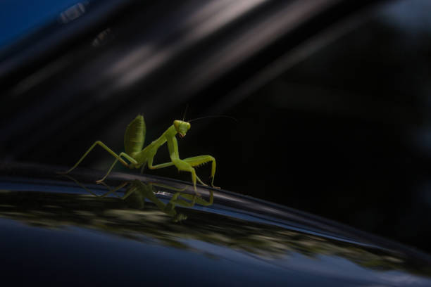 Photo taken in Melbourne, Australia