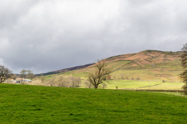 istock Rolling green hills under a cloudy sky with a distant mountain and sparse trees in a tranquil rural landscape. 2167174436