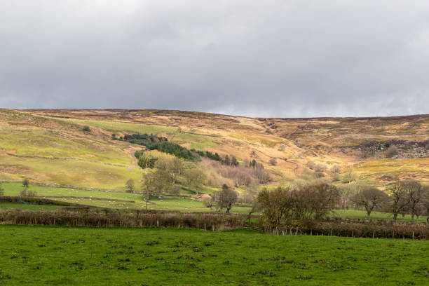 istock Rolling hills with green fields under a cloudy sky, showcasing rural landscape beauty. 2167174438