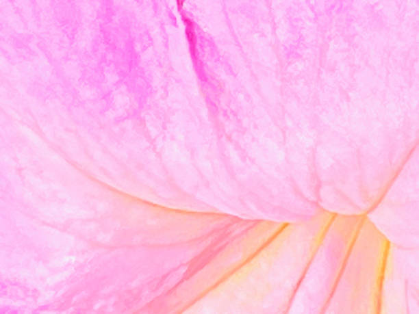 Soft Pastel Pink Pantone Color Nature Background