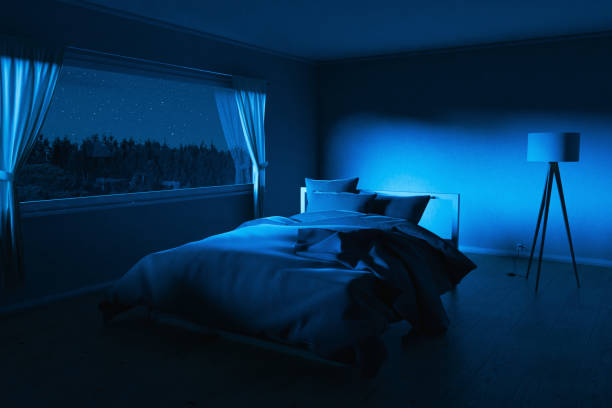 istock Bedroom with cozy low bed at night. 3D Rendering 2167180682