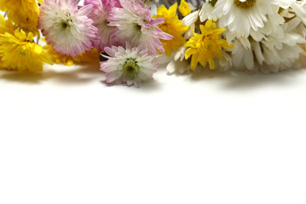 Several colourful gerberas as bouquet