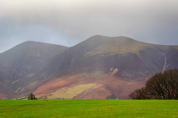 Rolling green hills with misty mountain backdrop under overcast sky in Lake District, England.