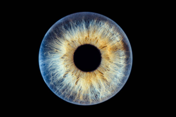 istock Close-Up View of a Human Iris with Detailed Patterns on Black Background 2167191194