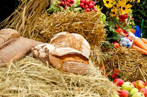 istock Fresh baked bread, Fruits and Vegetables presented for thanksgiving 2167192465