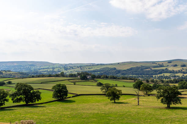 istock Idyllic countryside landscape with rolling hills, green fields, and scattered trees under a blue sky with fluffy clouds. 2167194889
