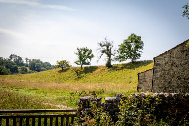 Idyllic countryside scene with a rustic stone wall, lush green fields, and a clear sky, perfect for backgrounds or nature themes.