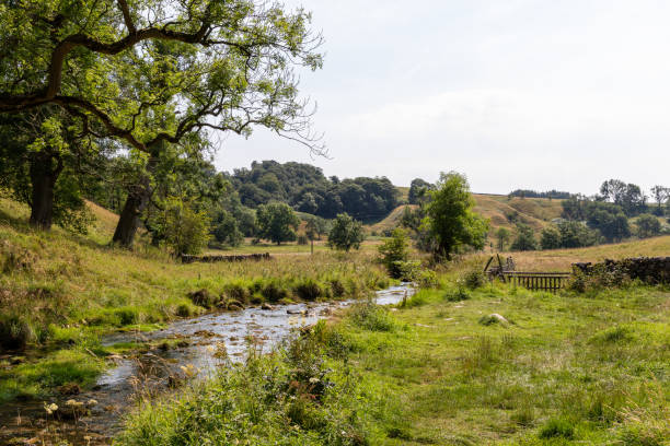 istock Idyllic countryside scene with a rustic stone wall, lush green fields, and a clear sky, perfect for backgrounds or nature themes. 2167194952
