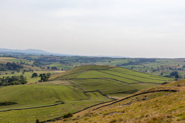 istock Rolling green hills with patchwork farmland under a hazy sky, depicting rural tranquility. 2167196201