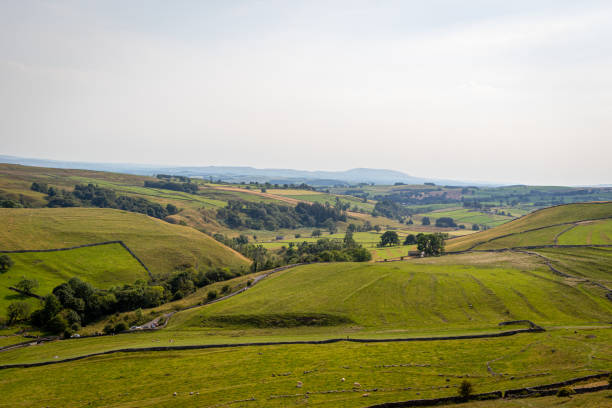 istock Rolling green hills with patchwork fields under a hazy sky, depicting rural landscape serenity. 2167196264