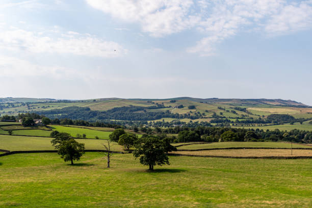 istock Idyllic countryside landscape with green fields, trees, and rolling hills under a clear sky. 2167197447