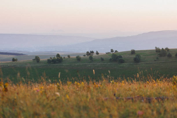 istock Tall grass and flowers with mountains in the background 2167197795