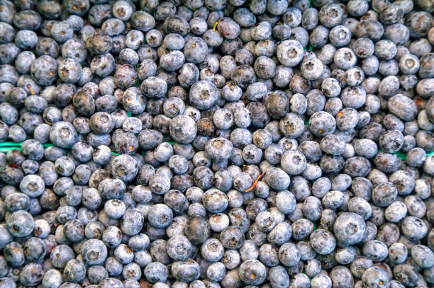 cartons of farmer's market blueberries