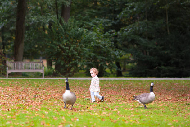 istock Kids play in autumn park 2167200109