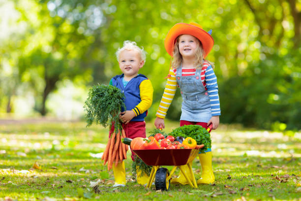 istock Kids picking vegetables on organic farm 2167200136