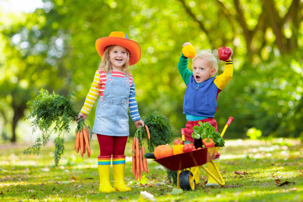 istock Kids picking vegetables on organic farm 2167200152