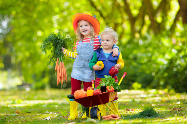 istock Kids picking vegetables on organic farm 2167200263