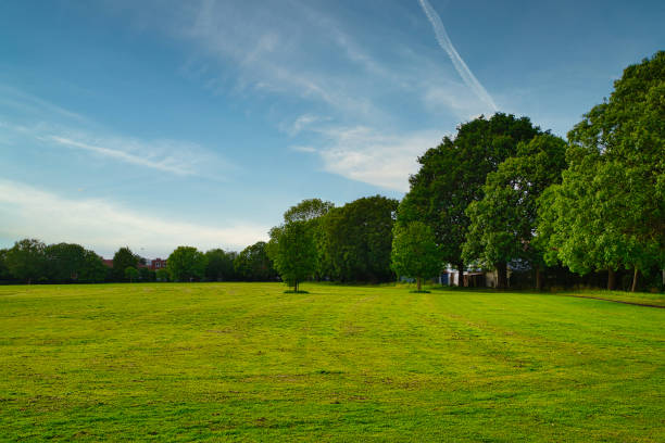 istock Open green field with trees and clear blue sky 2167201733