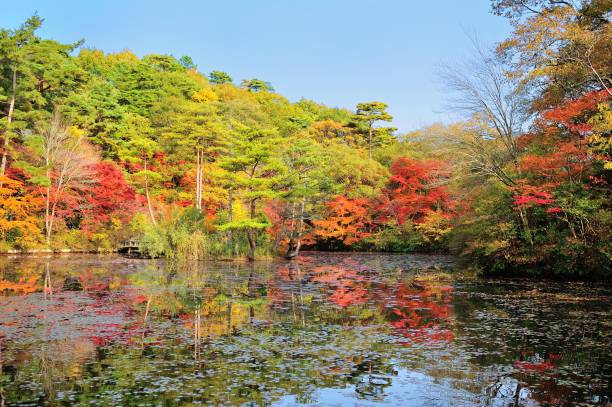 istock Autumn leaves at a pond in Mt. Rokko 2167201862