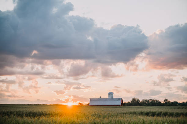 A striking minimalistic landscape capturing the dark silhouette of wild grass against a vivid, fiery orange sunset. The image evokes calm, solitude, and natural beauty, making it ideal for editorial use, nature features, inspirational designs, and atmospheric backgrounds