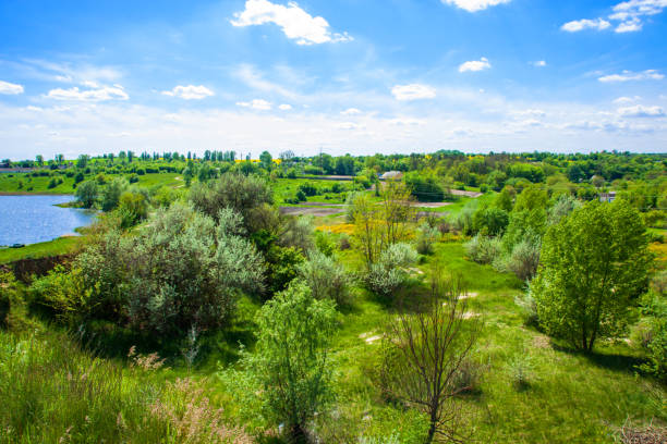 istock Spring trees, meadows, lake and bright blue sky with clouds. Rural landscape. 2167203606