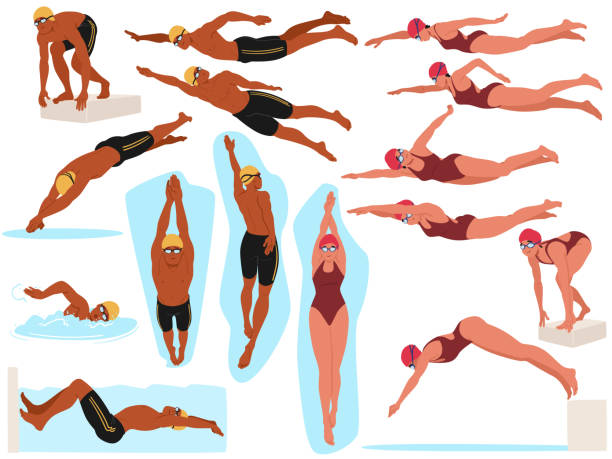 Male And Female Swimmers In Different Swimming And Diving Poses. Cartoon Vector Illustration Highlights The Athleticism Male And Female Swimmers In Different Swimming And Diving Poses. Cartoon Vector Illustration Highlights The Athleticism, Skill And Precision Of Swimmers As They Perform Various Strokes And Dives cartoon of a swimming goggles stock illustrations