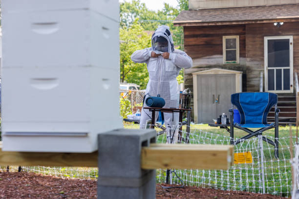 istock Protective fence from animals in apiary. Suited beekeeper adjusts protective gear near backyard hives. 2167208974