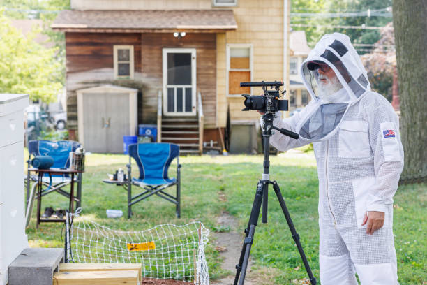 istock Filming backyard beekeeping documentary. Senior Hispanic beekeeper operates camera, making vlog in protective gear near suburban apiary. 2167208981