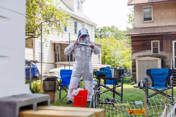 istock Preparing for apiary duty. Beekeeper dons protective workwear  in suburban backyard. 2167208982