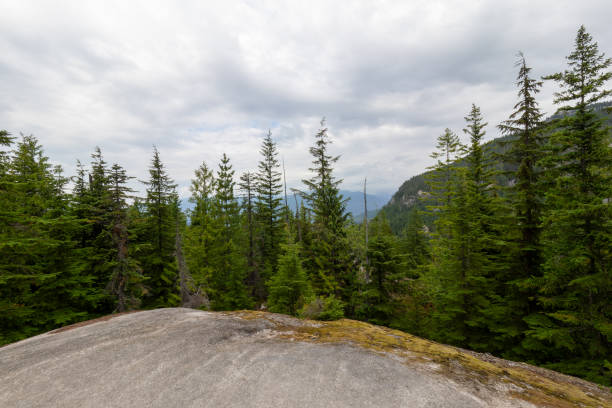 Sea to Sky Gondola in Squamish BC provides panoramic views of the surrounding mountains, Howe Sound and coastal rainforest.