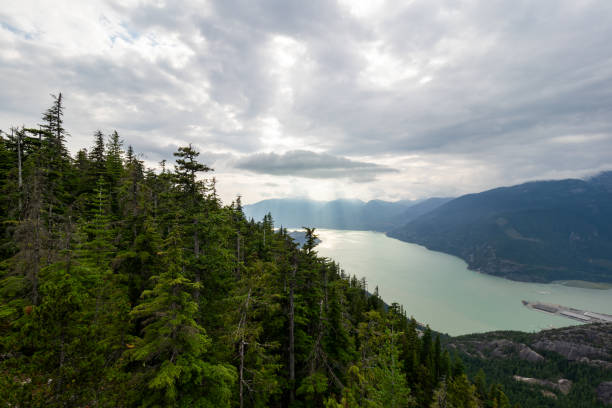 Sea to Sky Gondola in Squamish BC provides panoramic views of the surrounding mountains, Howe Sound and coastal rainforest.