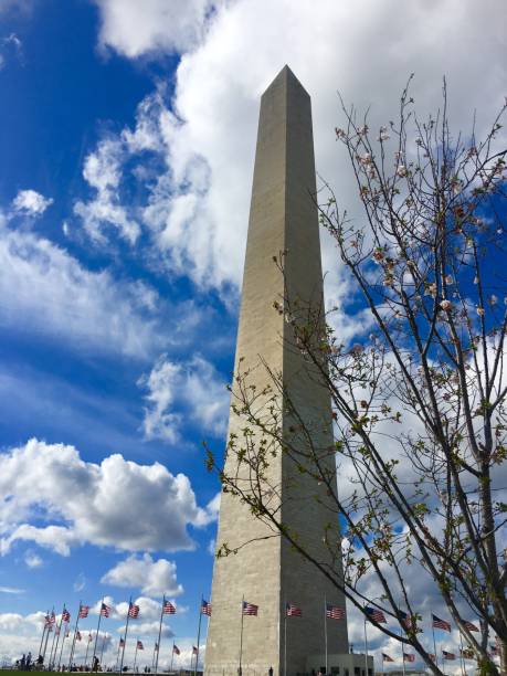 istock Washington monument with cherry blossoms and flags ￼ 2167217689