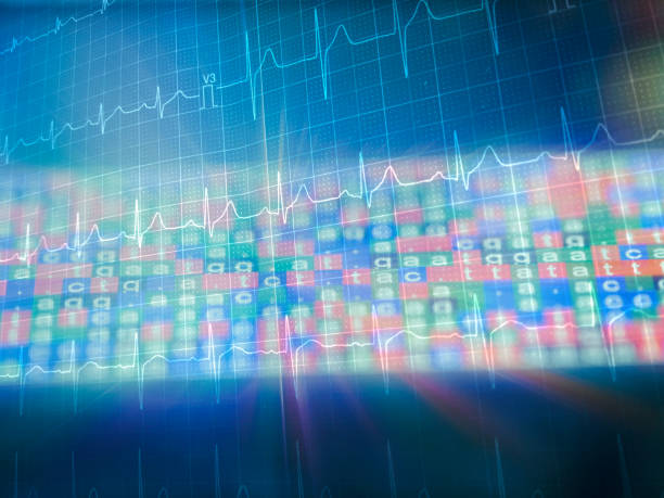 istock heart Electrocardiogram on paper illuminated under green light 2167219551