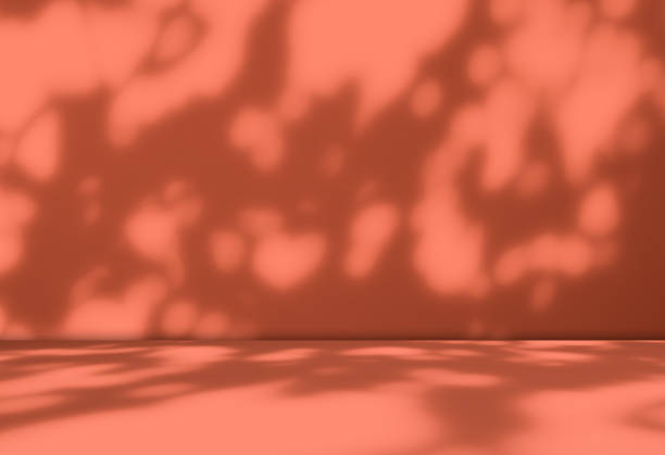 Autumn background yellow studio pink podium platform template stage wall floor cement, backdrop cosmetic beauty product presentation, stand gradient summer tropical pattern texture room kitchen.