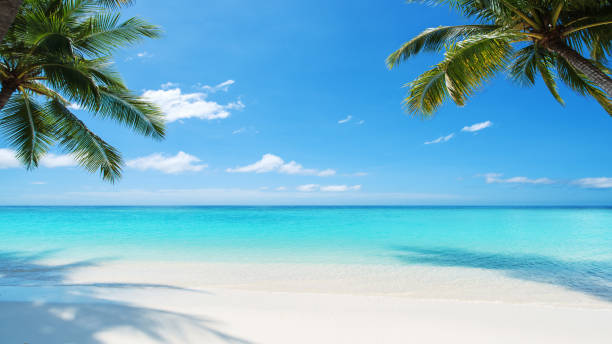 istock Tropical paradise beach scene for background or wallpaper 2167222084