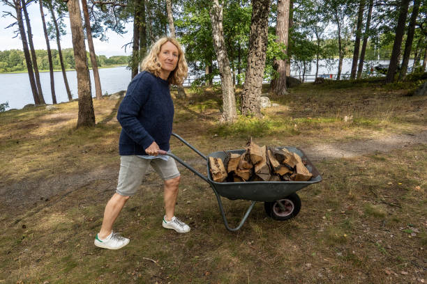 Stockholm, Sweden A woman pushed a wheelbarrow filled with firewood.