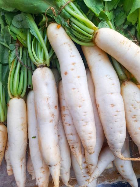 istock Close up view of white radish or raphanus sativus (Latin). 2167223336