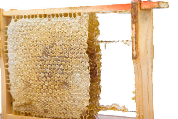 istock Honeycomb with honey in a wooden frame isolated on white background 2167226229