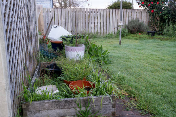 istock Overgrown Timber Garden Box 2167228531
