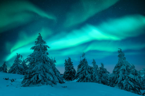 istock Northern lights in winter forest 2167228651