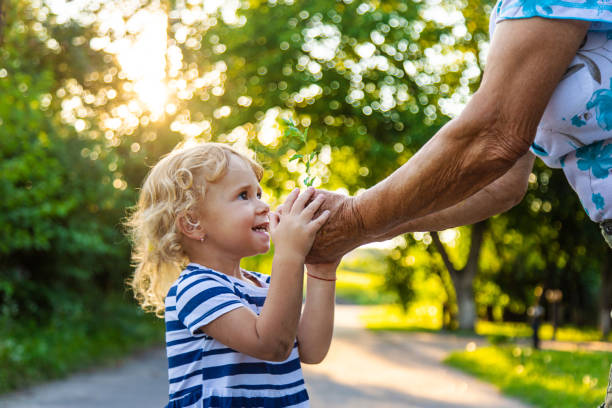 istock Grandmother and child hold a tree sprout in their hands. Selective focus. 2167232148